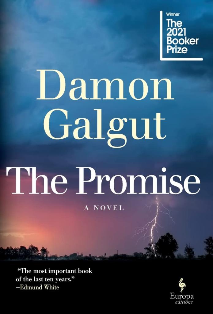 Book cover of The Promise by Damon Galgut